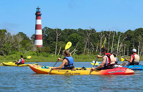 Assateague Kayak Tour