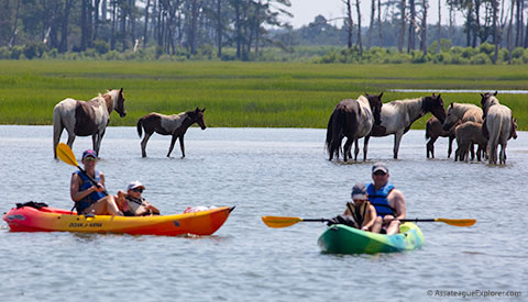 Kayaking along Assateague