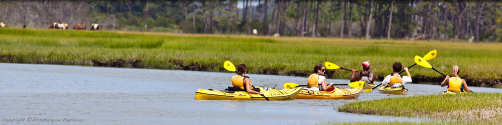 Assateague Kayaking
