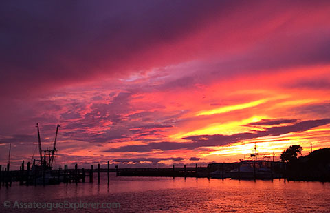 Chincoteague Sunset